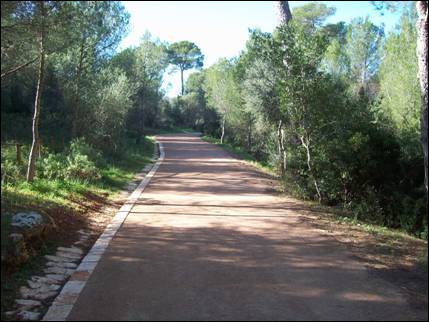 El Ayuntamiento de Palma inicia las obras de la segunda fase del camino perimetral del Bosque de Bellverdel Bosc de Bellver 