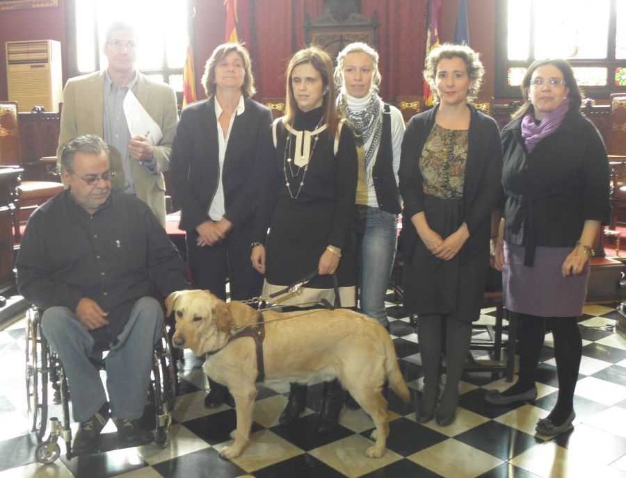 » Protocolo de atención a las personas con discapacidad dentro del ámbito municipal