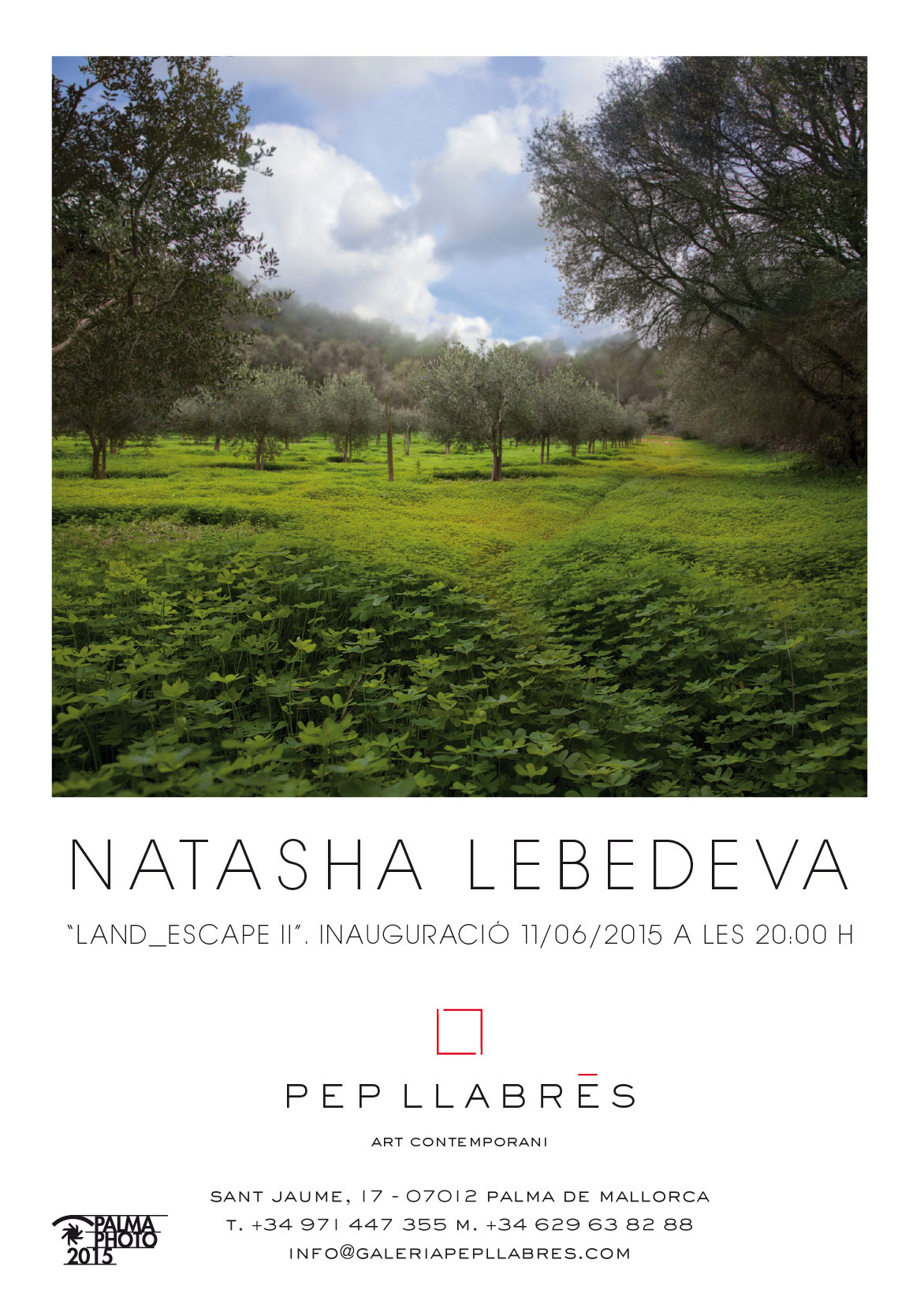 NATASHA LEBEDEVA 'LAND_ESCAPE II'. PALMA PHOTO 2015